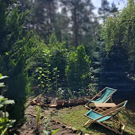 Pod Debem, Pulandia Brzozki *