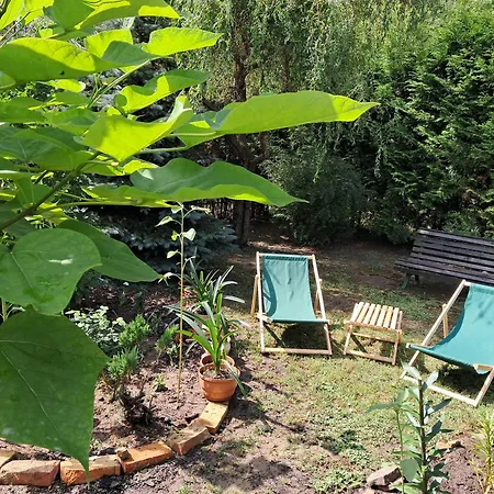 Pod Debem, Pulandia Brzozki Brzozki (Naklo)